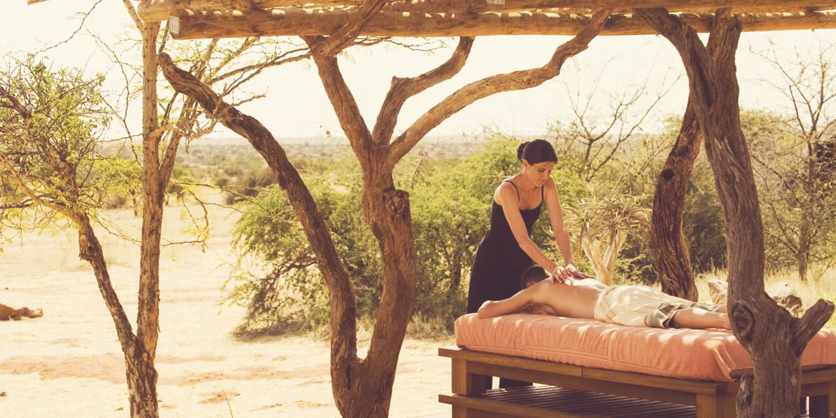 Why Mindfulness? Our guide to taking it all in on safari