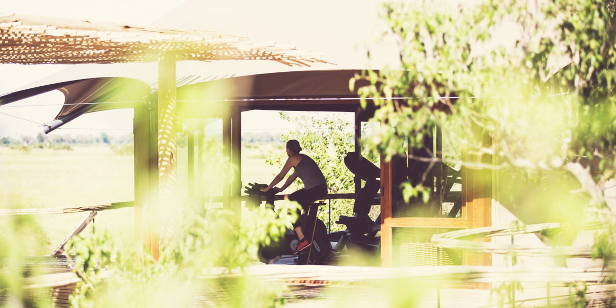 Why Mindfulness? Our guide to taking it all in on safari