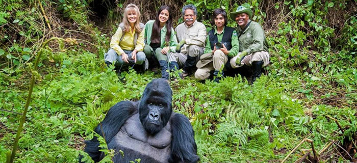 Rwanda Gorilla Trekking Safari
