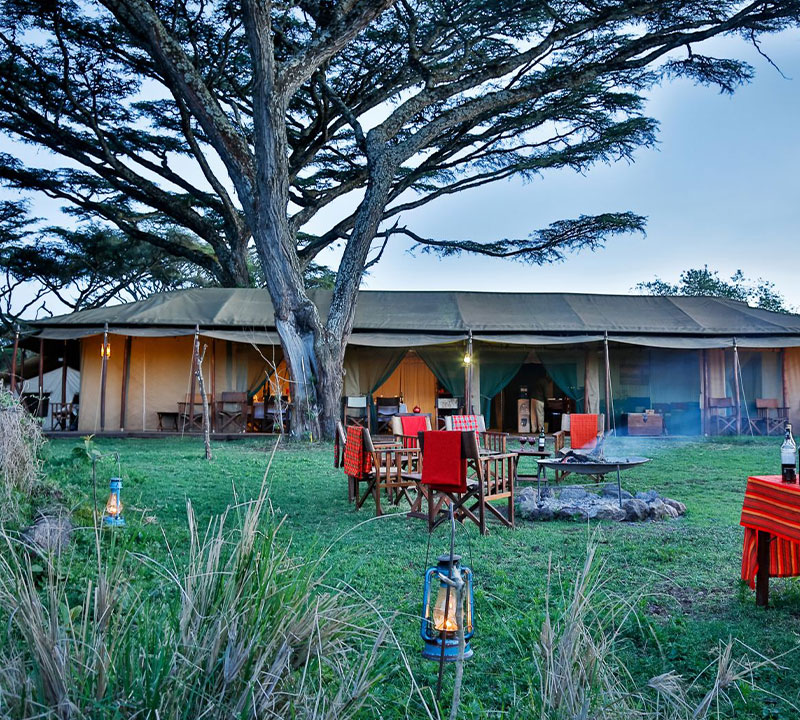 Lemala Ngorongoro Tented Camp