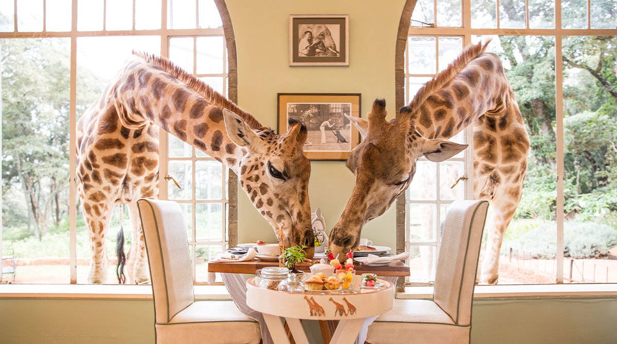 Our Top 5 Romantic Lodges in East Africa for 2021 Safari Travel