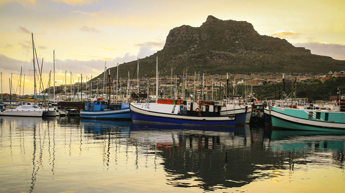 Hout Bay - Cape Town Travel - Explorer Safari