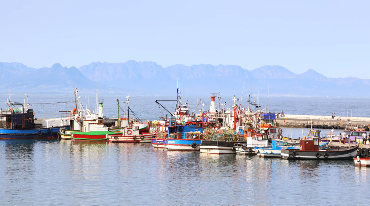 Kalk Bay - Cape Town Travel - Explorer Safari